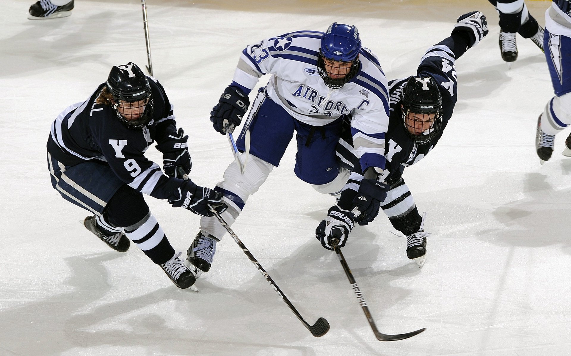 开云真人体育娱乐-Palmer成长之路备受外界期待